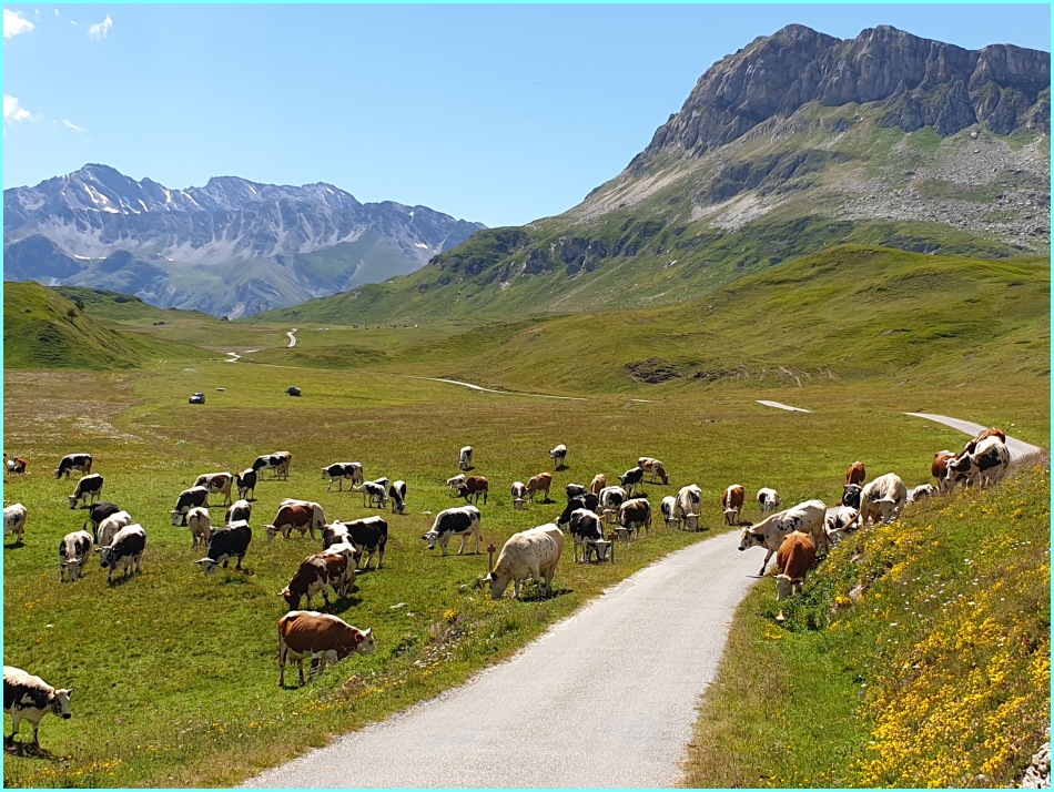 Petit Mont Cenins.jpg